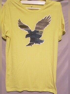 American Eagle Outfitters  Classic Fit Tee Men Sz Med